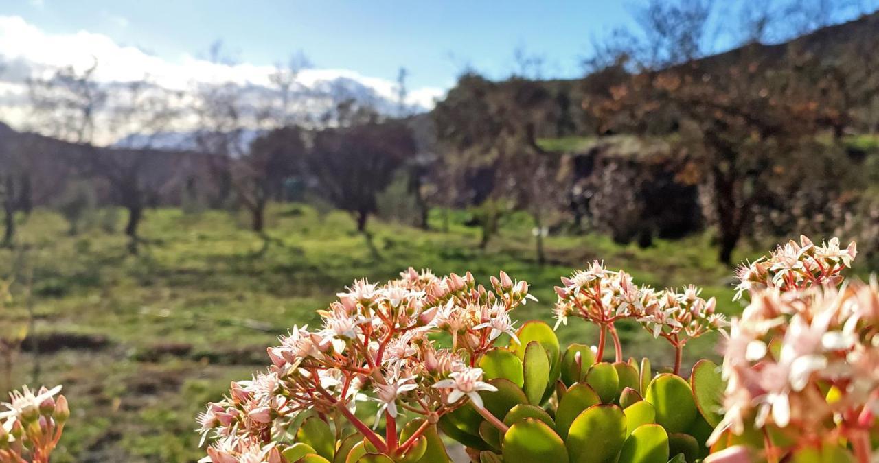 Cortijo Aguacha Villa Bayacas Kültér fotó