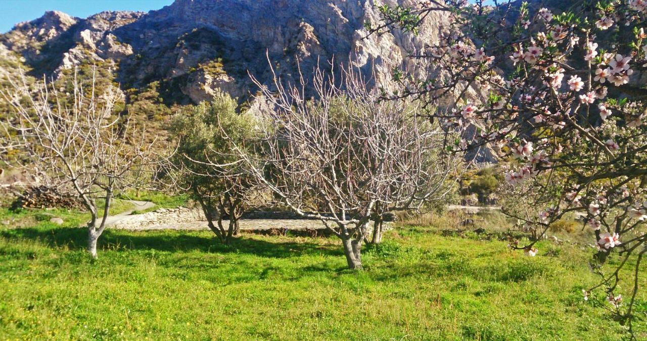 Cortijo Aguacha Villa Bayacas Kültér fotó