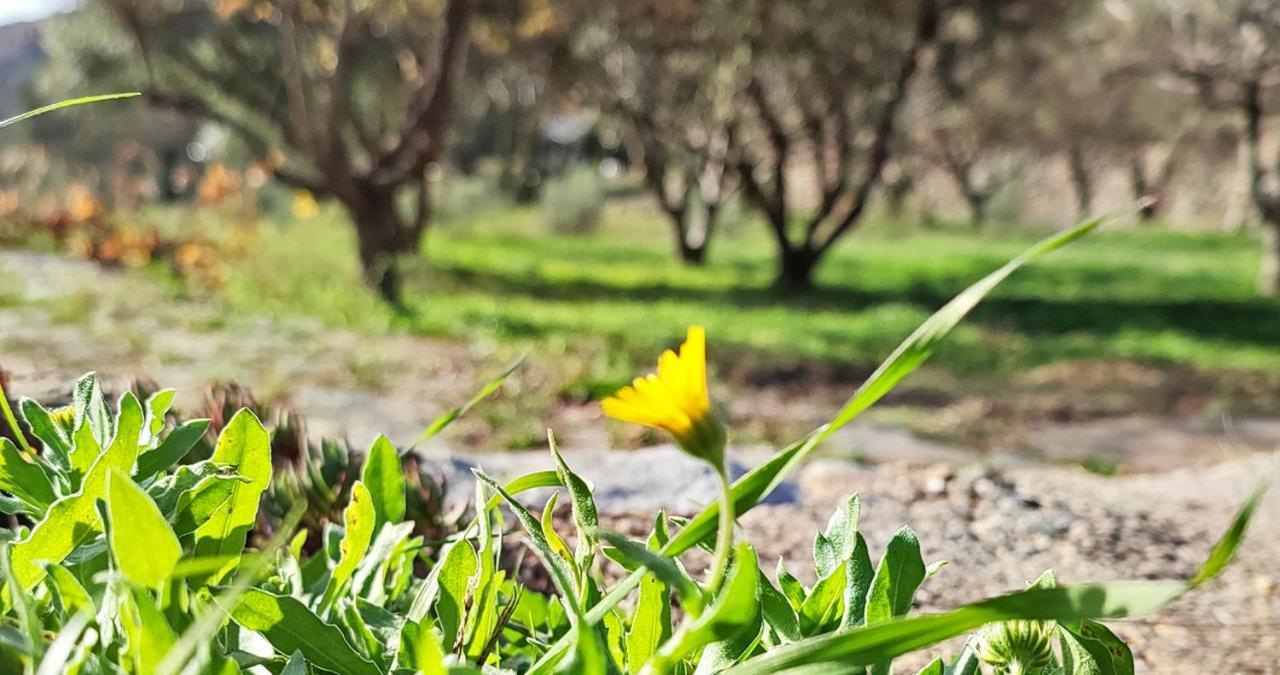 Cortijo Aguacha Villa Bayacas Kültér fotó