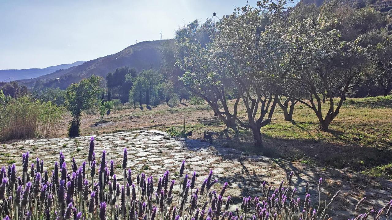 Cortijo Aguacha Villa Bayacas Kültér fotó