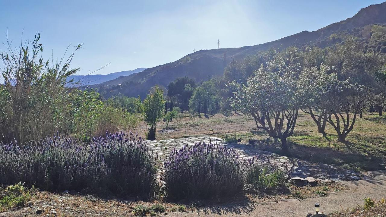 Cortijo Aguacha Villa Bayacas Kültér fotó